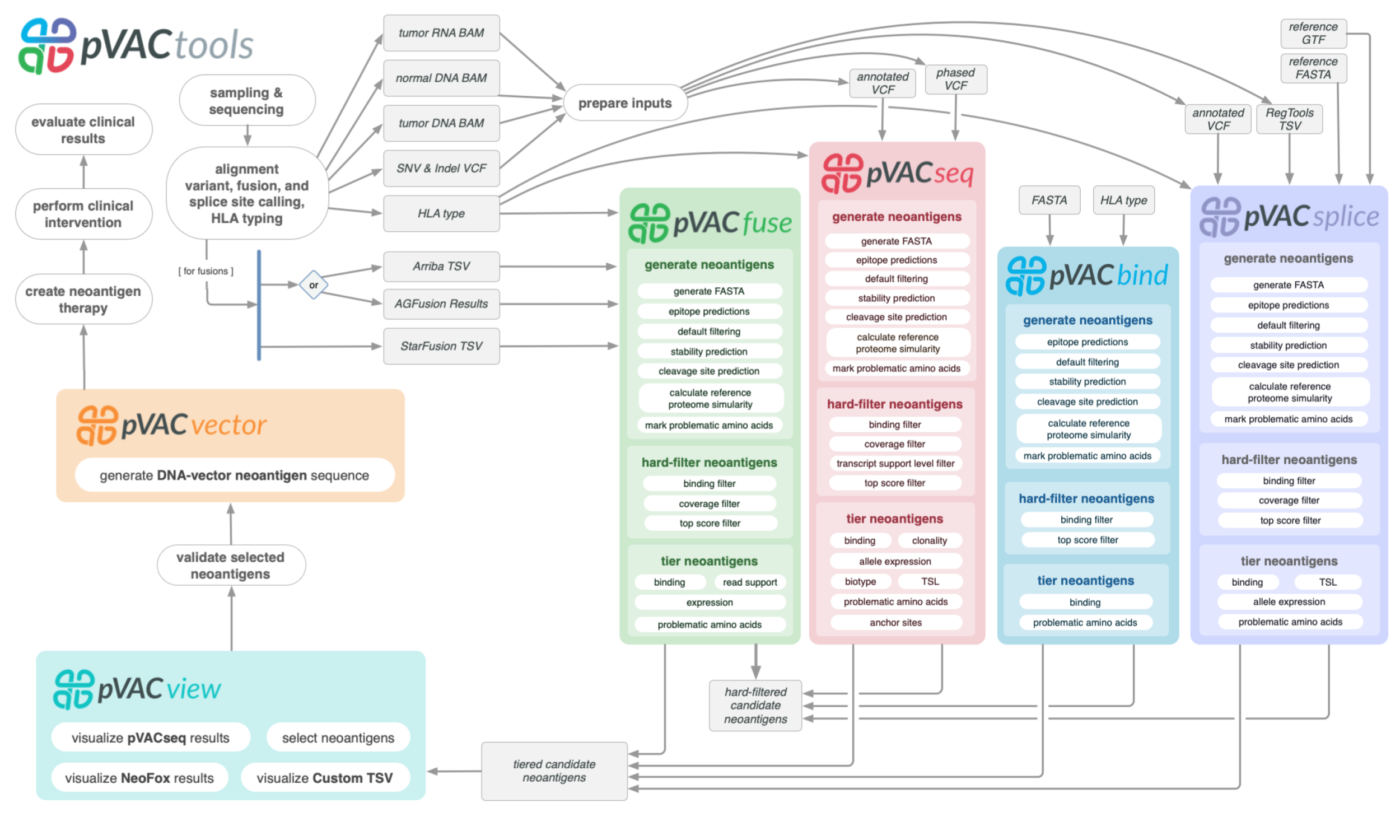 pVACtools is a cancer immunotherapy tools suite