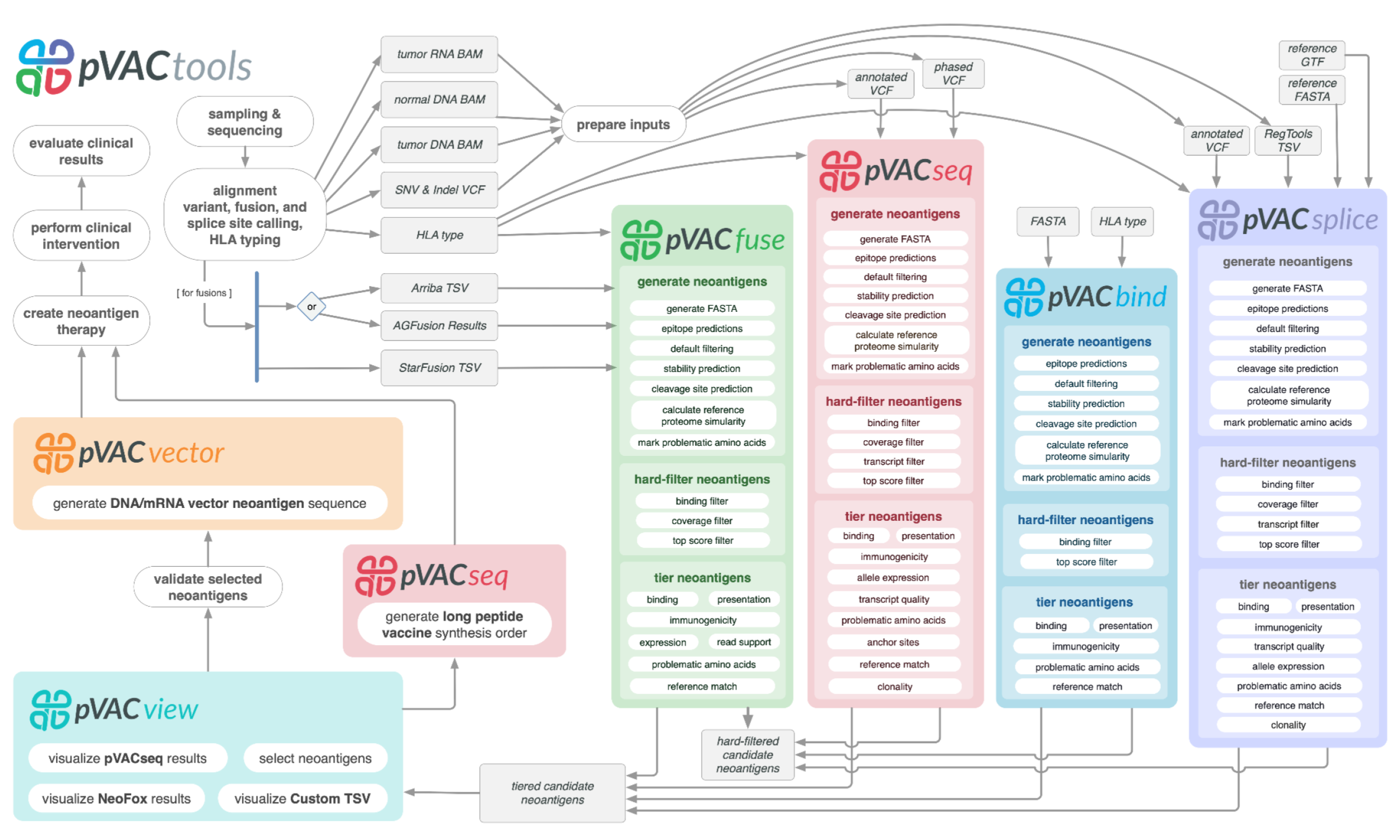 pVACtools is a cancer immunotherapy tools suite