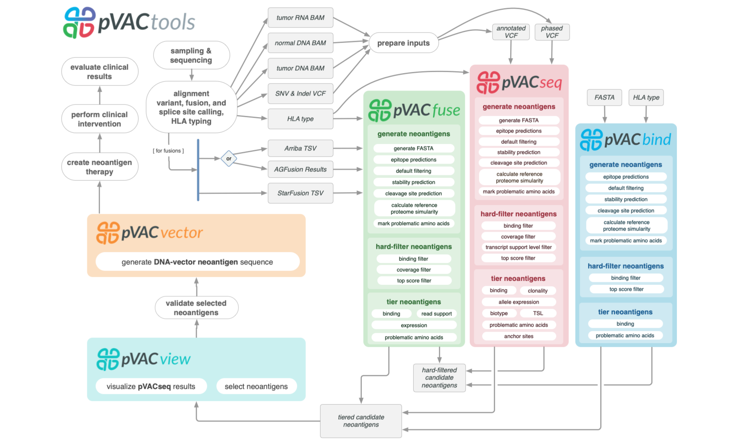 pVACtools is a cancer immunotherapy tools suite